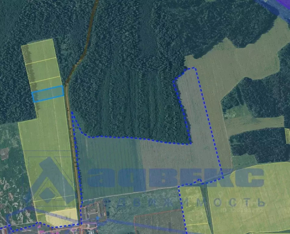 Участок в Ленинградская область, Волосовский район, Клопицкое с/пос, ... - Фото 2