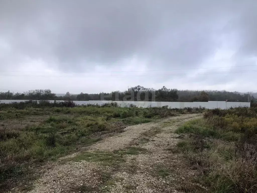Участок в Тульская область, Тула городской округ, д. Медвенка, ... - Фото 2