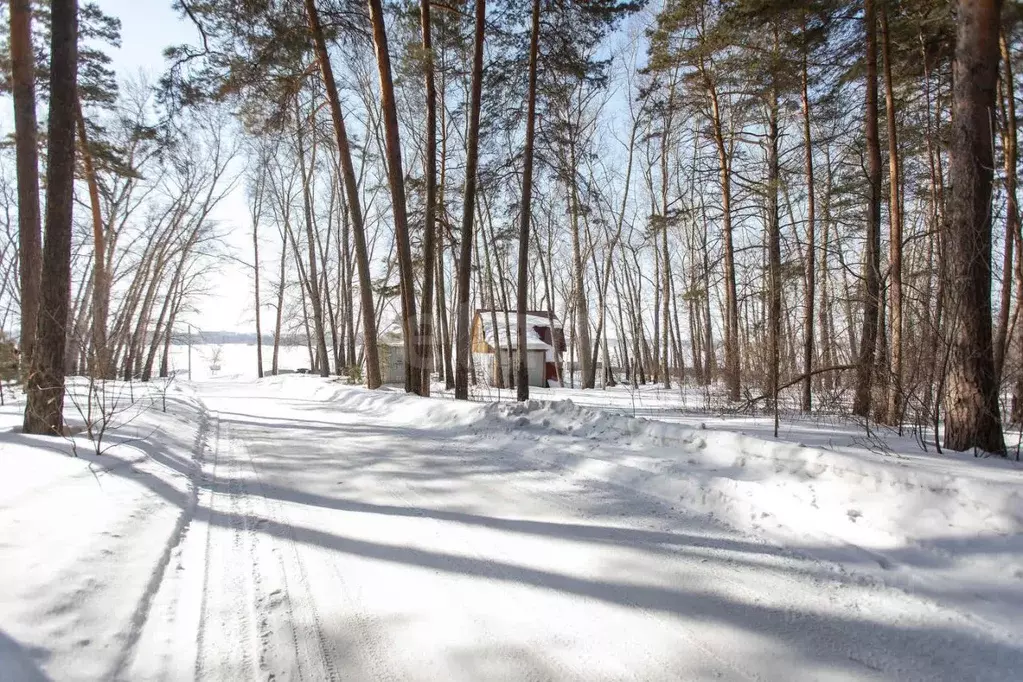 Участок в Новосибирская область, Бердск Речкуновская зона отдыха тер., ... - Фото 1