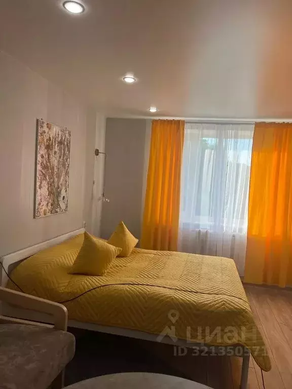 Студия Карелия, Сортавала Карельская ул., 64 (26.0 м) - Фото 0