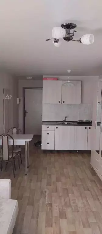 Студия Саратовская область, Саратов Огородная ул., 157 (22.5 м) - Фото 1