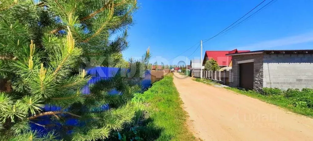 Участок в Новосибирская область, Новосибирский район, Кубовинский ... - Фото 1