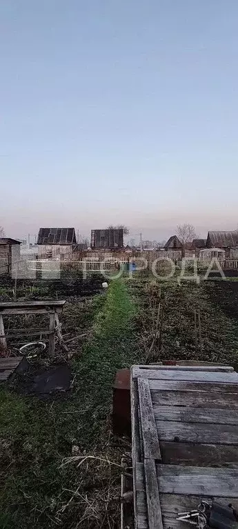 Участок 3,6 сот. (СНТ, ДНП) - Фото 0