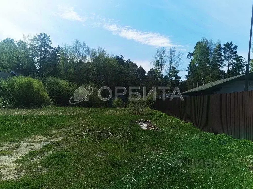 Участок в Тюменская область, Тюменский муниципальный округ, с. ... - Фото 2