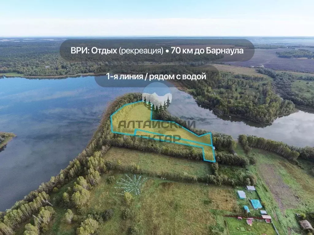 Участок в Алтайский край, Косихинский район, с. Озеро-Красилово Нижняя ... - Фото 1