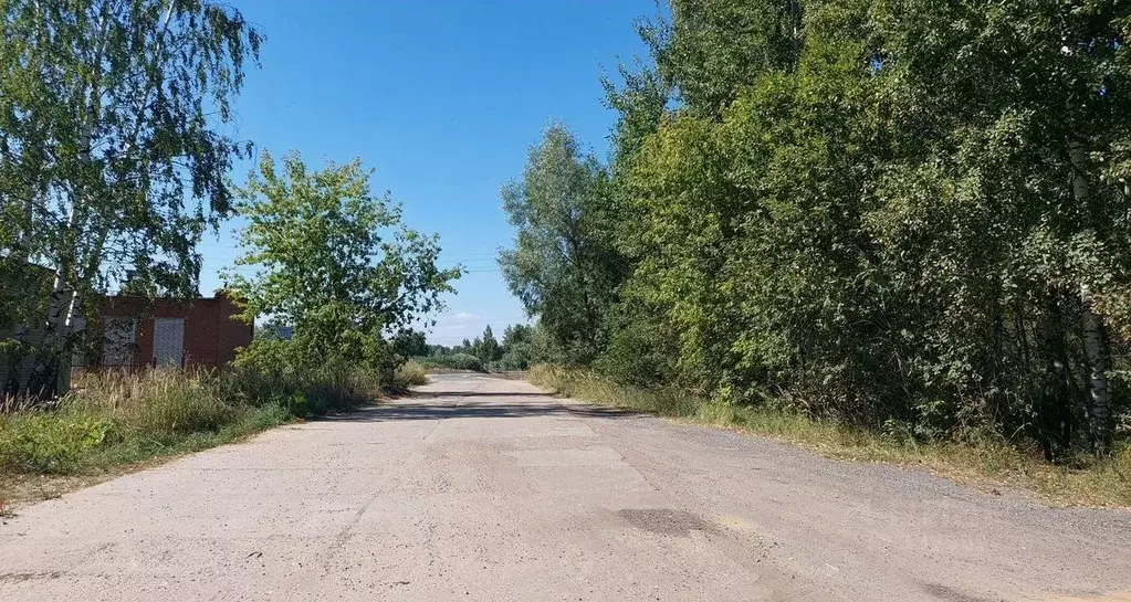 Участок в Московская область, Электроугли Богородский городской округ, ... - Фото 1