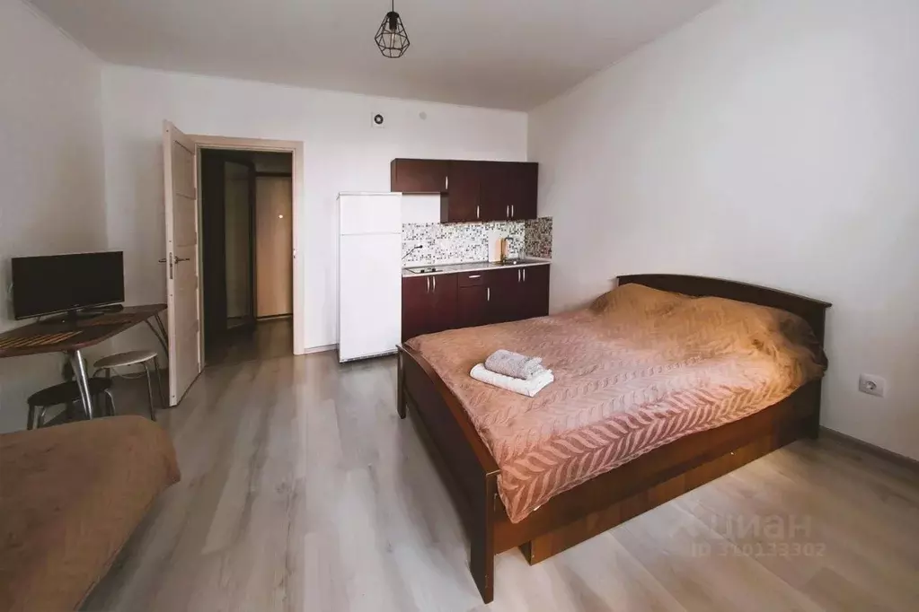 1-к кв. Санкт-Петербург просп. Ветеранов, 175 (28.0 м) - Фото 1