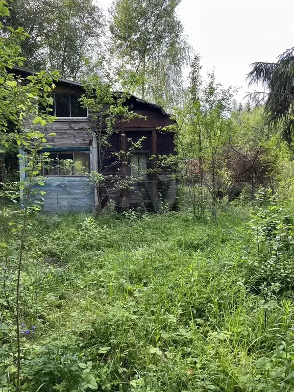 Участок 10 сот. (СНТ, ДНП) - Фото 1