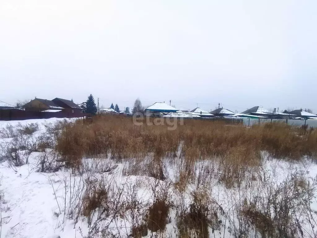 Участок в Новосокольнический район, Пригородная волость, сад. уч. (6.7 ... - Фото 1