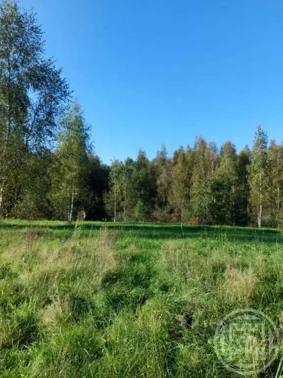 Участок в Ленинградская область, Лужский район, Серебрянское с/пос, д. ... - Фото 1