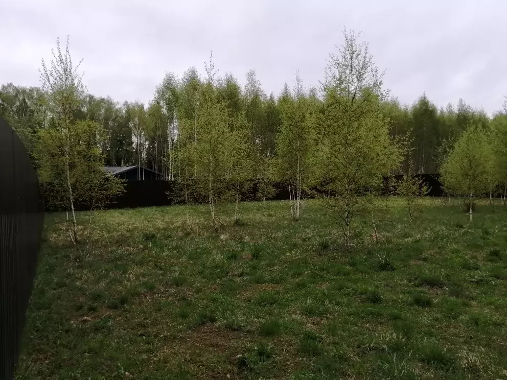 Продается участок в д. Сафонтьево - Фото 1