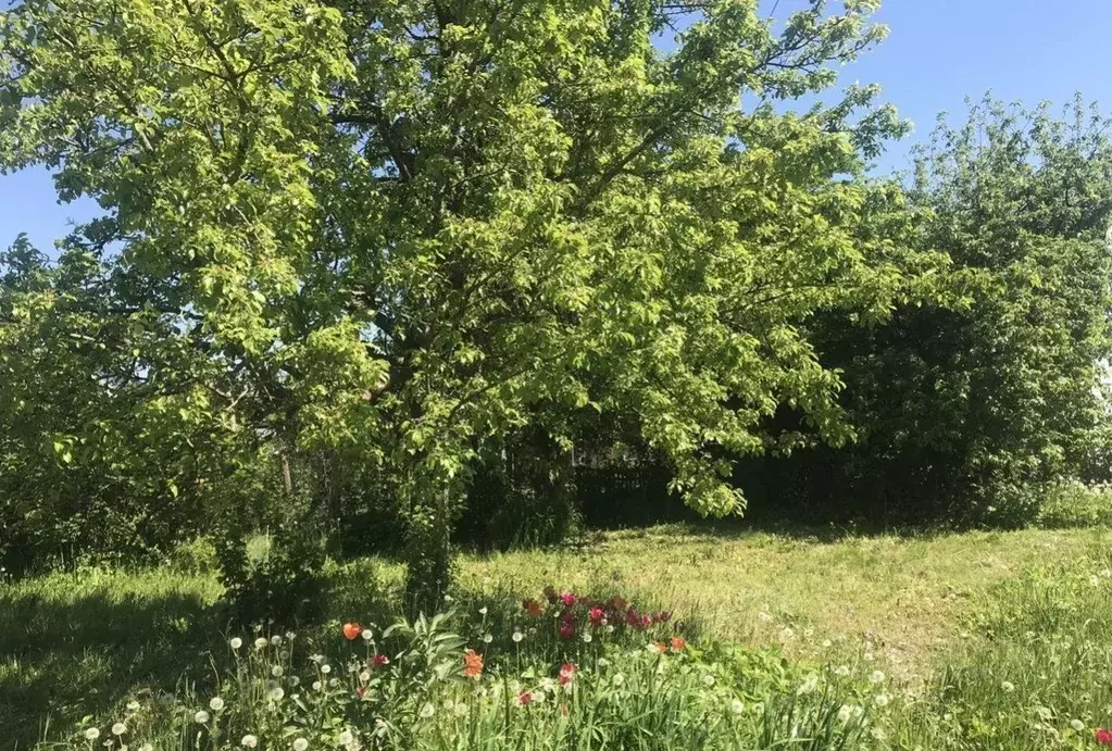 Дом в Калининградская область, Светлогорск Радуга СНТ, 8-я линия, 28 ... - Фото 1