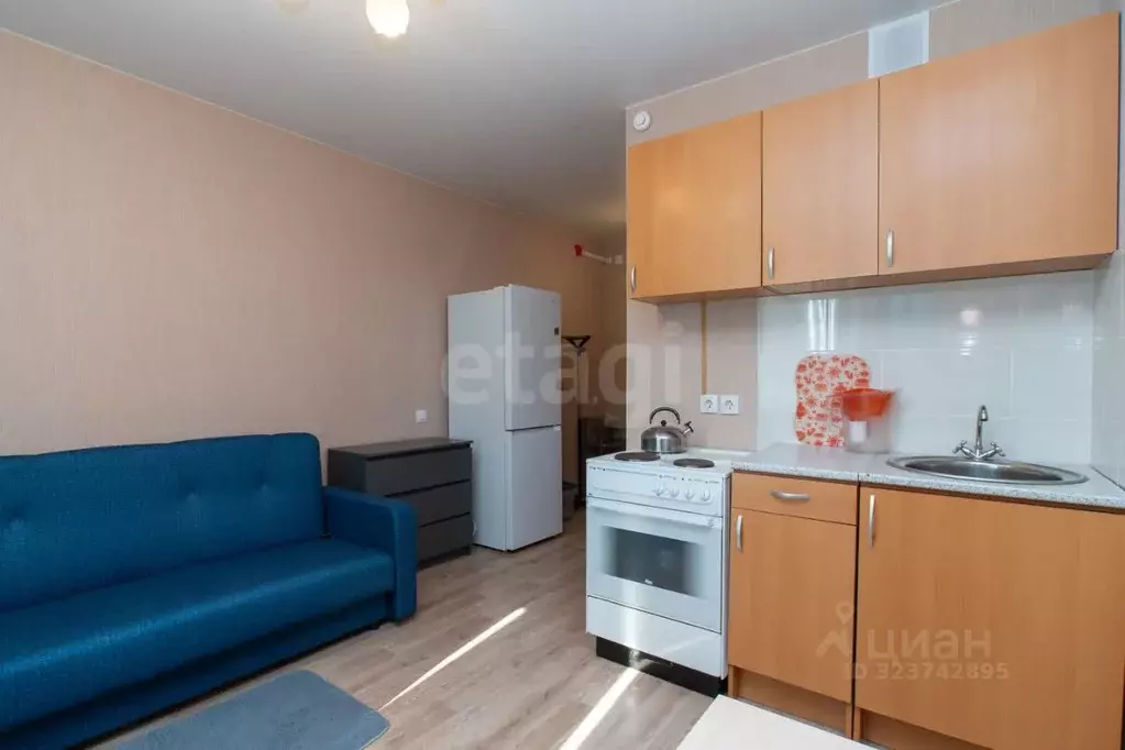 Студия Новосибирская область, Новосибирск ул. Титова, 255/2 (20.0 м) - Фото 1