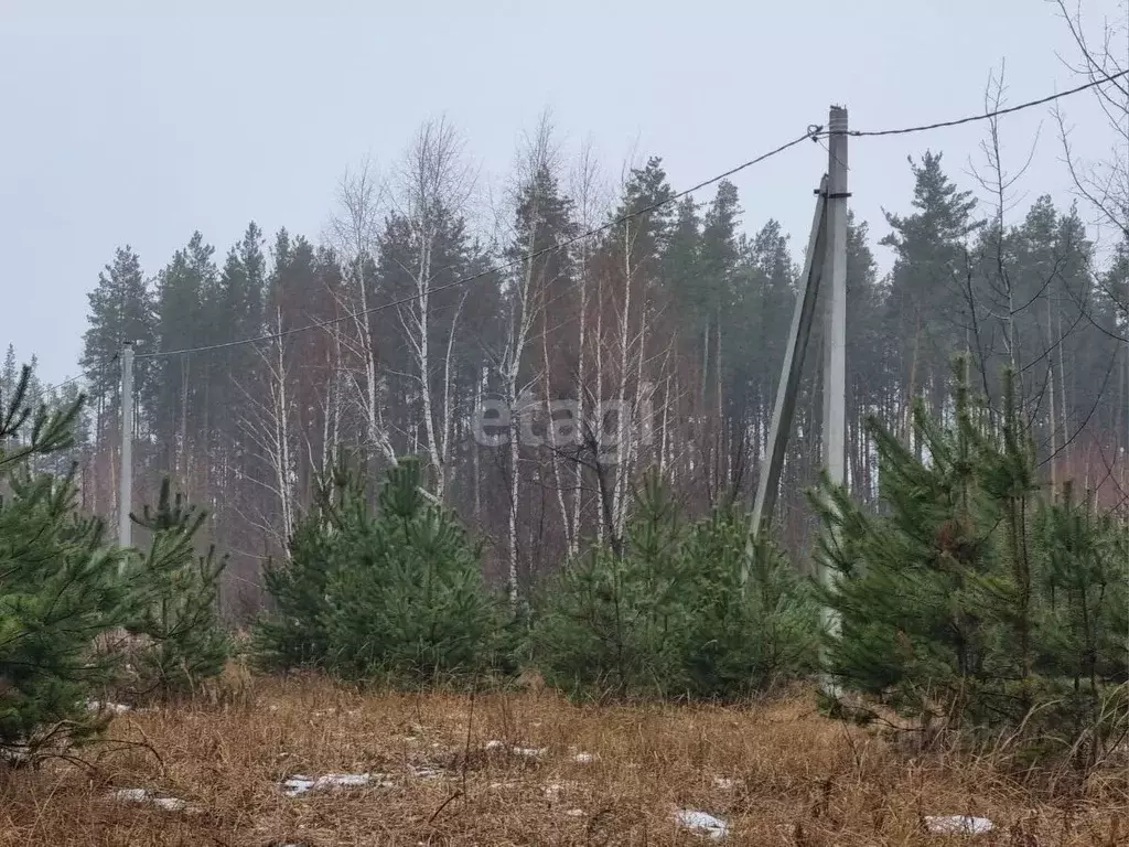 Участок в Тамбовская область, Тамбовский муниципальный округ, Луговое ... - Фото 0