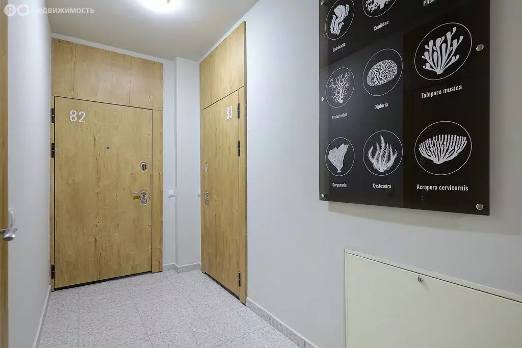 1-комнатная квартира: Пионерский, Октябрьская улица, 6Б (34.5 м) - Фото 1