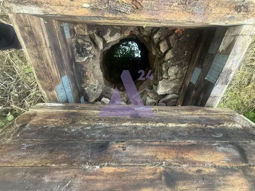 Дом в Алтайский край, Курьинский район, Колыванский сельсовет, с. ... - Фото 1