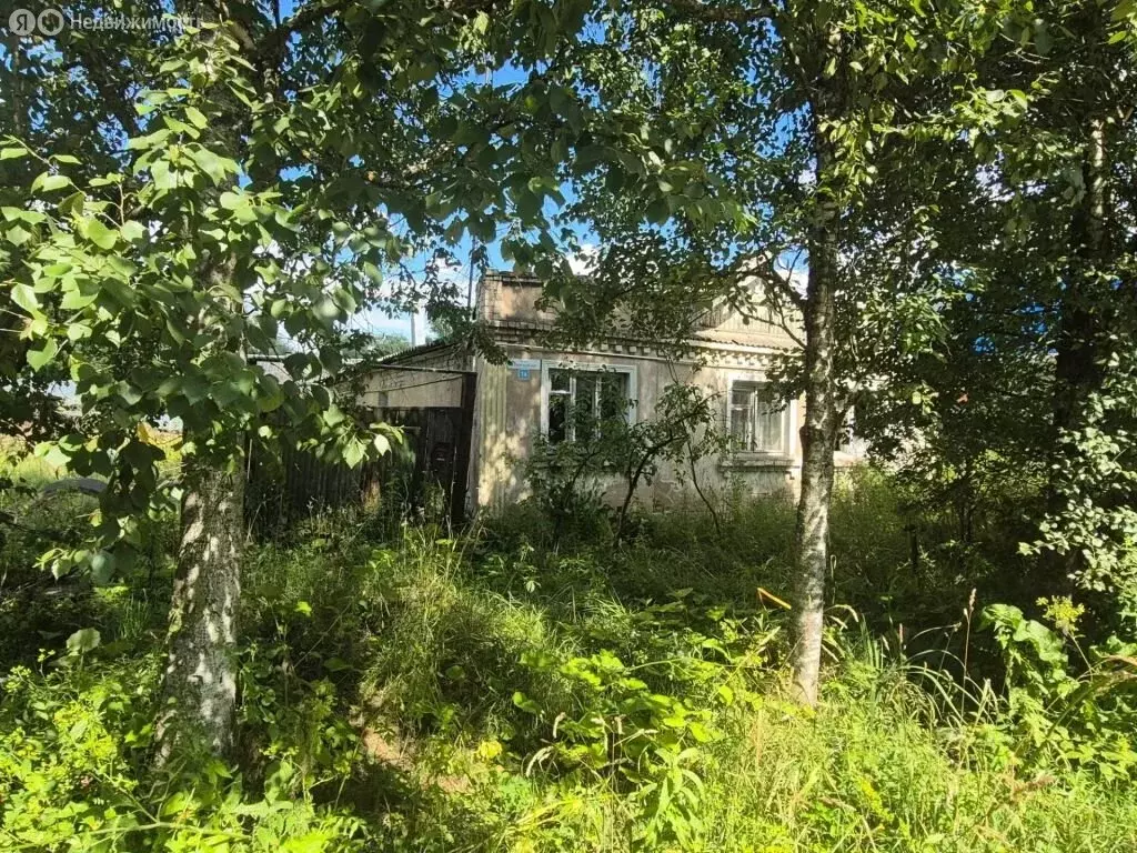 Участок в Тверь, Авангардная улица, 1А (4.7 м) - Фото 1