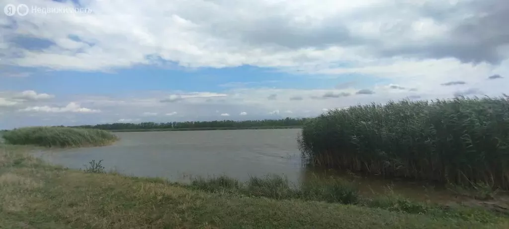 Участок в Щербиновский район, станица Новощербиновская (50 м) - Фото 1