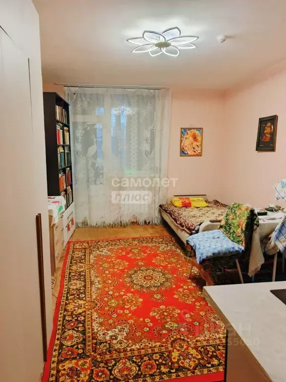 Студия Краснодарский край, Анапа Владимирская ул., 154к1 (23.3 м) - Фото 1