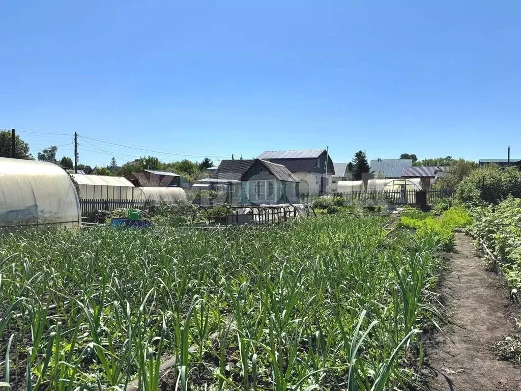 Дом в Новосибирская область, Новосибирск Садовод-ССМ садовое ... - Фото 1