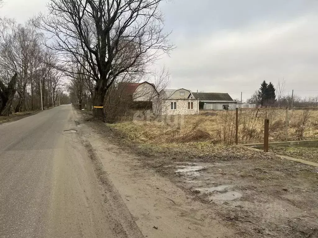 Участок в Калининградская область, Гурьевский муниципальный округ, ... - Фото 1