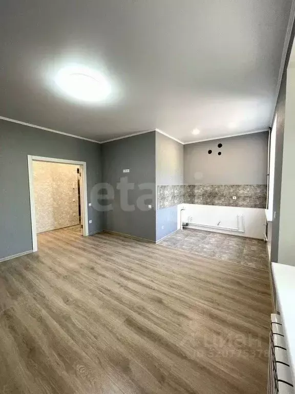 2-к кв. Воронежская область, Воронеж Кольцовская ул., 30 (41.2 м) - Фото 1