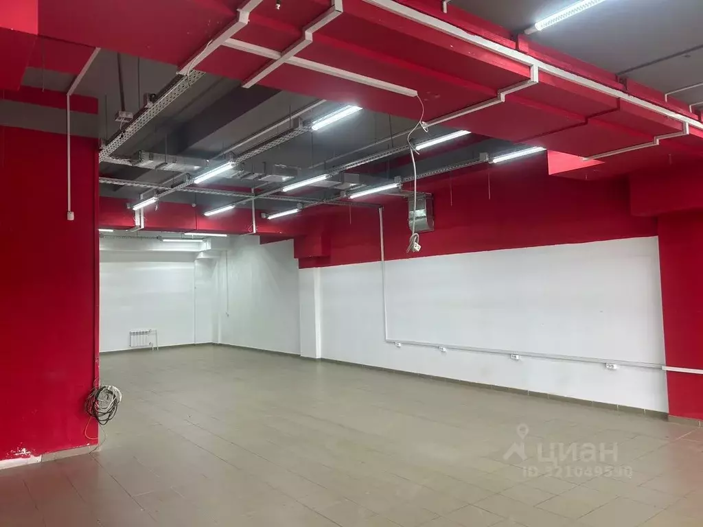 Торговая площадь в Чувашия, Чебоксары ул. П.В. Дементьева, 2к2 (95 м) - Фото 2