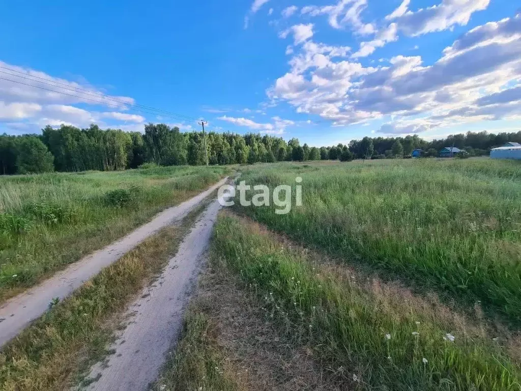 Участок в Владимирская область, Покров городской округ, д. Барсково ... - Фото 1