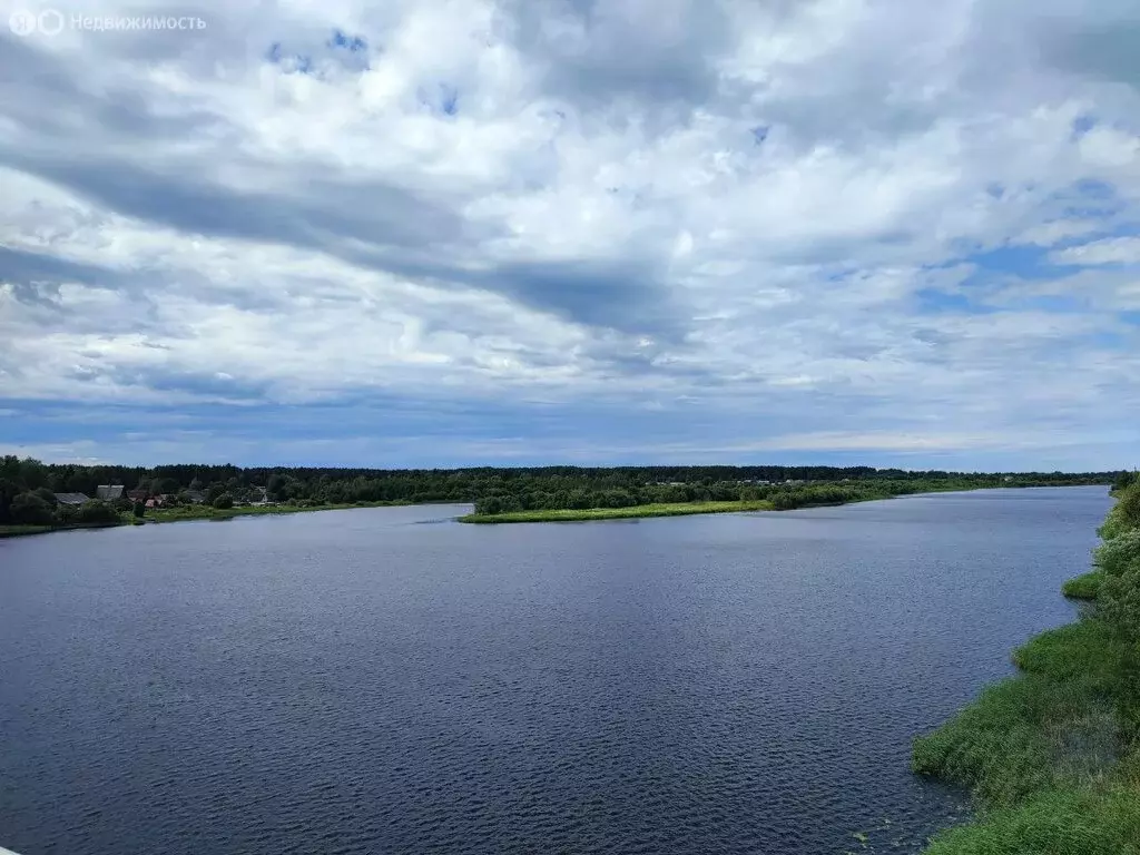Дом в село Паша, улица Павла Нечесанова, 70 (65 м) - Фото 2