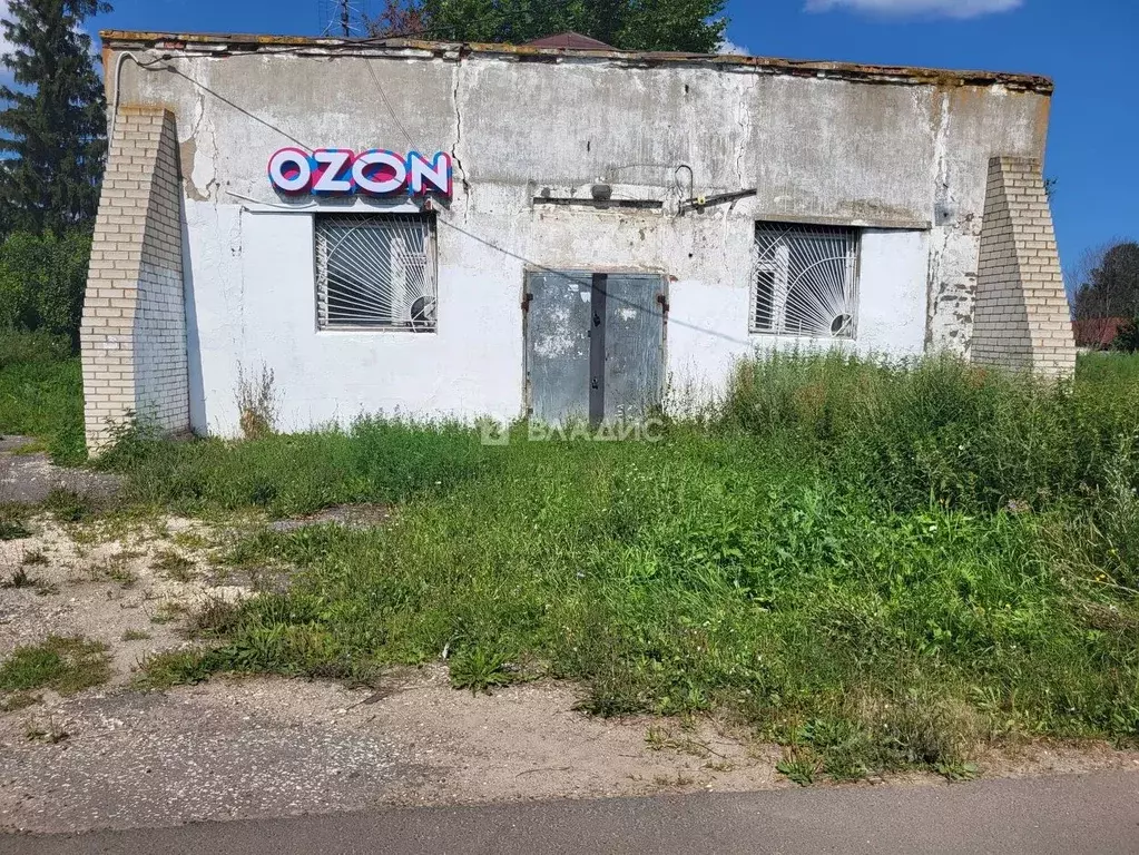 Помещение свободного назначения в Владимирская область, Суздальский ... - Фото 1