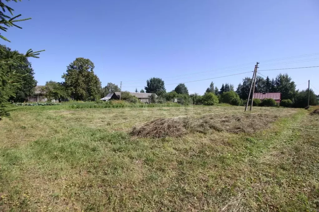 Участок в Вологодская область, Шекснинский муниципальный округ, д. ... - Фото 2