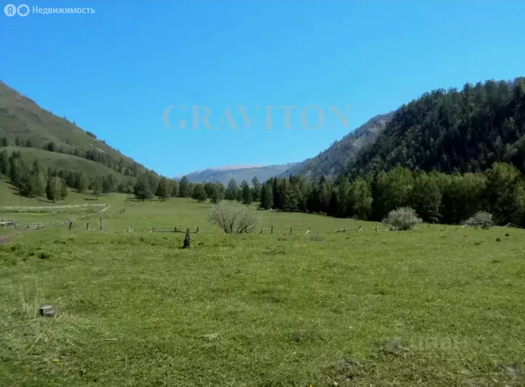 Участок в Усть-Коксинский район, село Катанда (9.08 м) - Фото 1