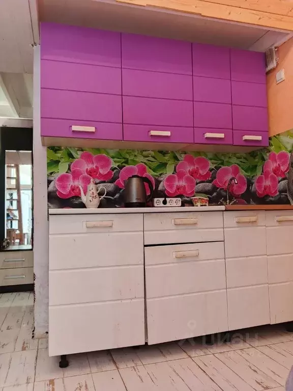 Студия Краснодарский край, Сочи Поселковая ул., 15 (25.0 м) - Фото 2