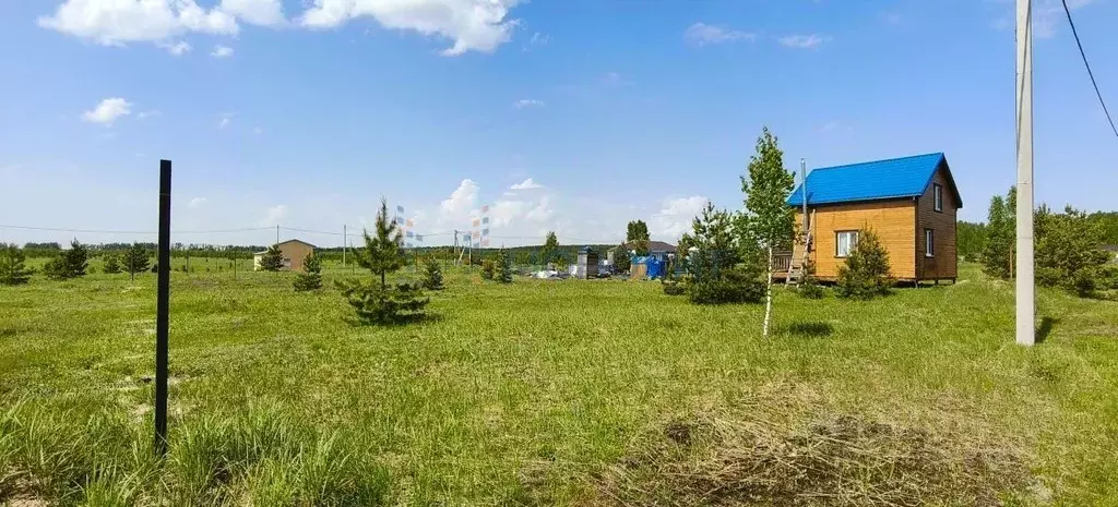 Участок в Нижегородская область, Богородский муниципальный округ, д. ... - Фото 2