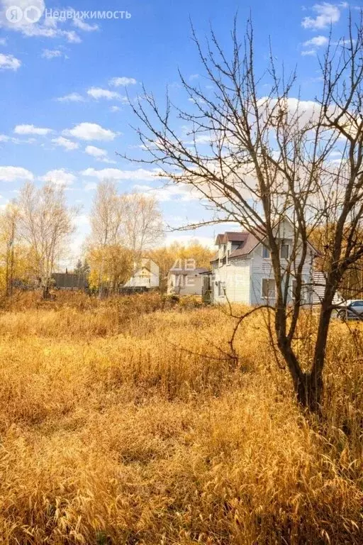 Участок в Южно-Сахалинск, СНТ Труд (6.84 м) - Фото 1