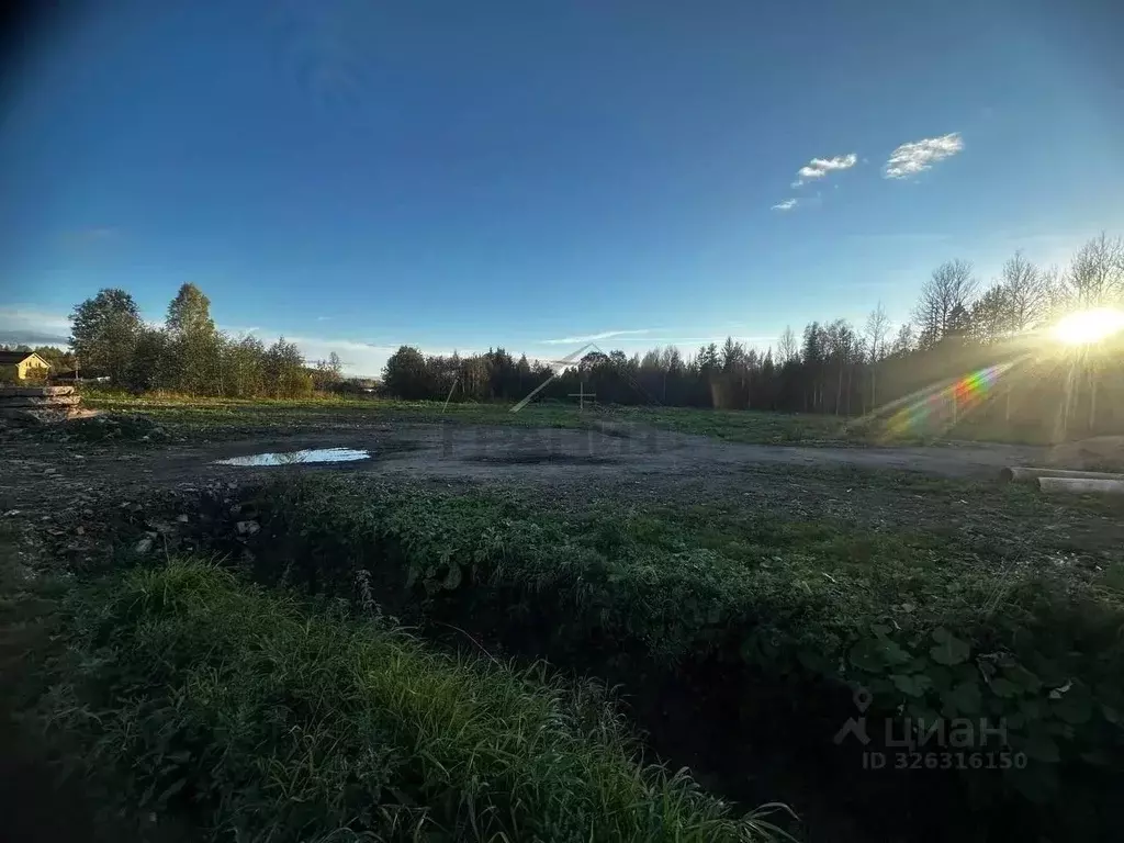 Участок в Новгородская область, Маловишерское городское поселение, д. ... - Фото 2