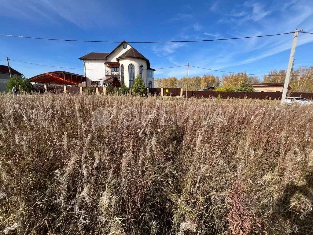 Участок в Тюменская область, Тюменский муниципальный округ, с. ... - Фото 1