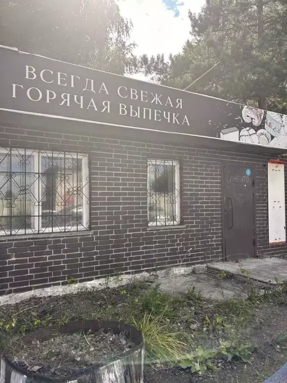 Торговая площадь в Алтайский край, Рубцовск № 8 СНТ, ул. Кедровая (86 ... - Фото 1