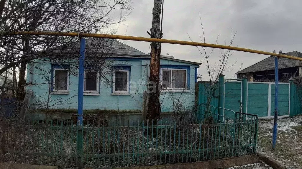 Дом в Белгородская область, Новооскольский муниципальный округ, с. ... - Фото 1