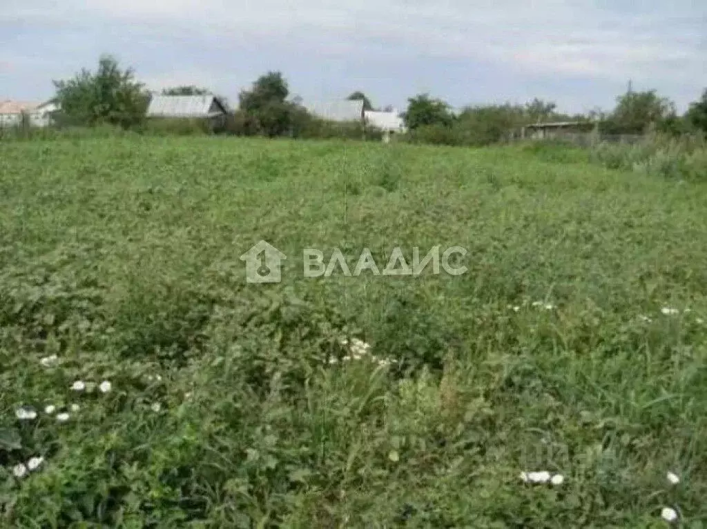 Участок в Владимирская область, Судогодский район, Лавровское ... - Фото 0