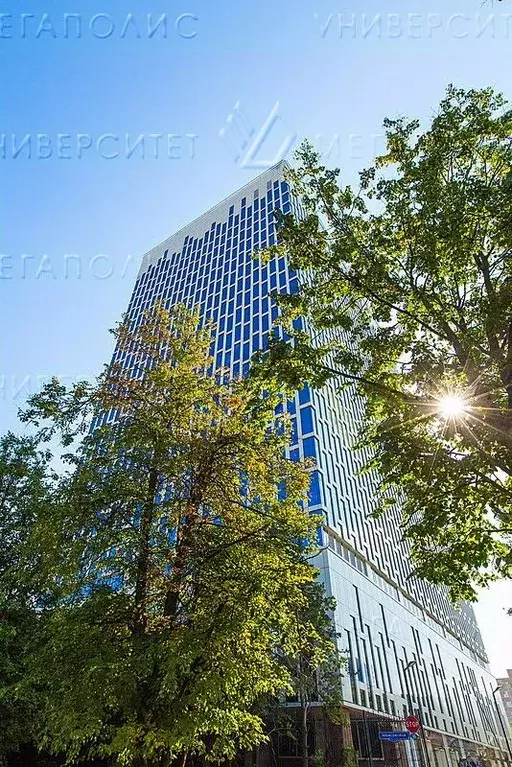 Офис в Москва Профсоюзная ул., 65к1 (347 м) - Фото 2