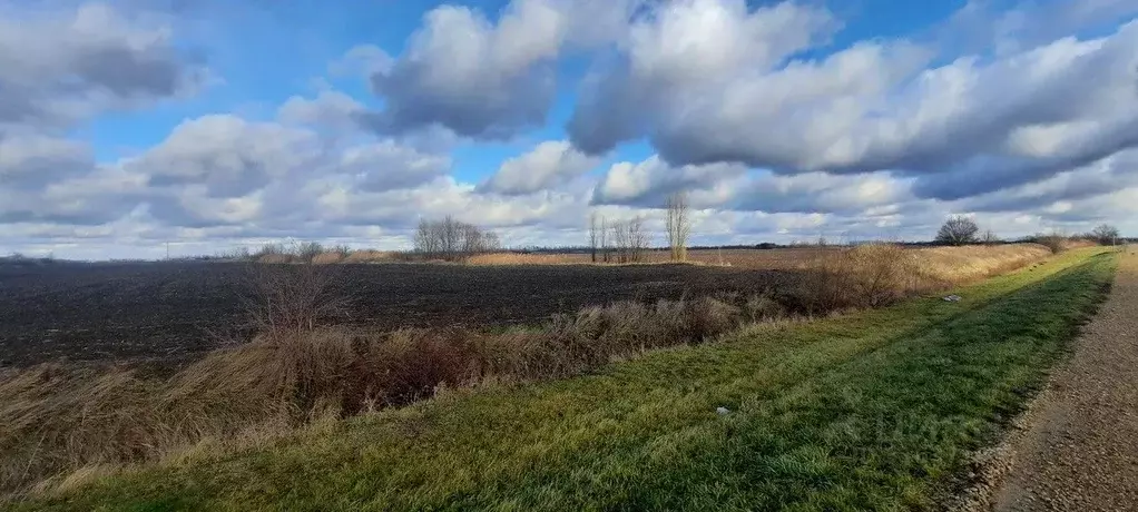 Участок в Краснодарский край, Динской район, Новотитаровская ст-ца  ... - Фото 1