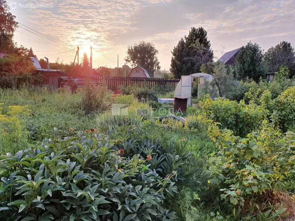 Дом в Новосибирск, СТ Берёзовая Роща, 52 (35 м) - Фото 1