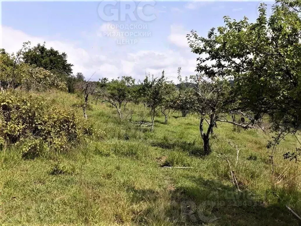 Участок в Краснодарский край, Сочи Бытха мкр,  (7.0 сот.) - Фото 0