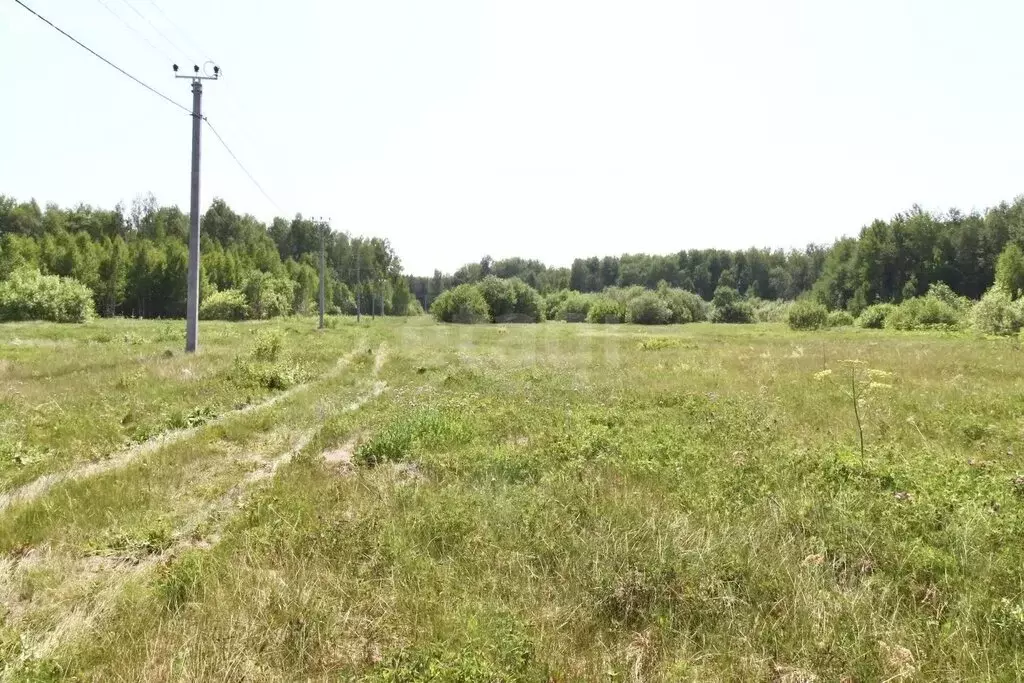 Участок в Тюменский район, село Горьковка (6.45 м) - Фото 1
