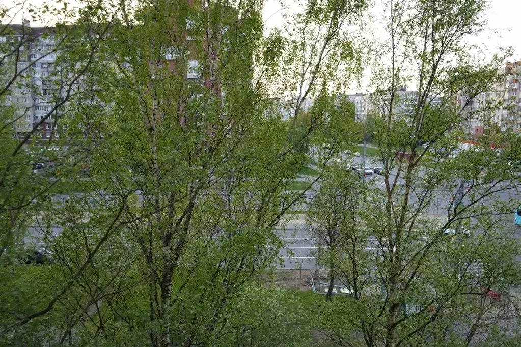 3-к кв. Санкт-Петербург Товарищеский просп., 1к1Н (74.6 м) - Фото 1