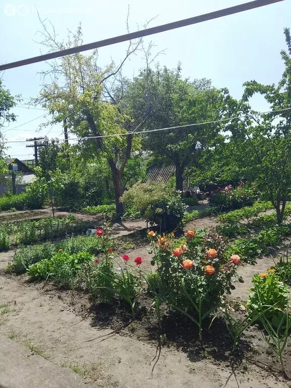 Участок в посёлок Хмелевка, Школьная улица (7.2 м) - Фото 1