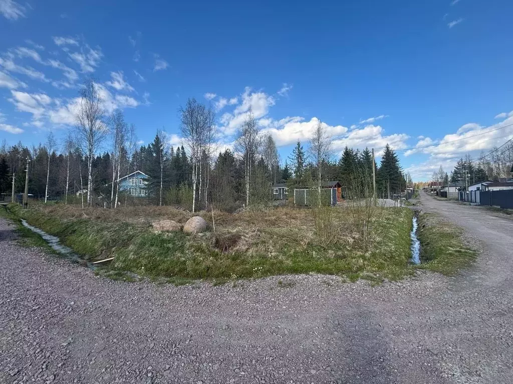 Участок в Ленинградская область, Выборгский район, Рощинское городское ... - Фото 0