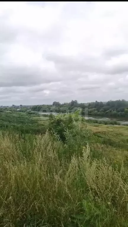 Участок в Тюменская область, Исетский муниципальный округ, село ... - Фото 1