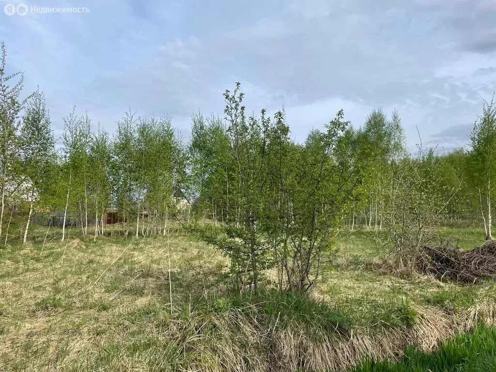 Участок в Медынь, Спортивная улица, 3 (10 м) - Фото 2